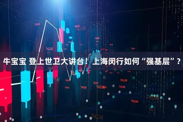 牛宝宝 登上世卫大讲台！上海闵行如何“强基层”？