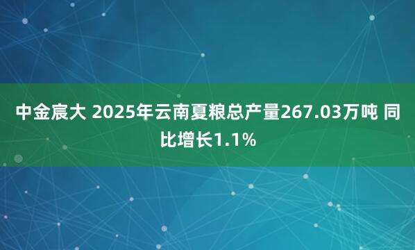 中金宸大 2025年云南夏粮总产量267.03万吨 同比增长1.1%