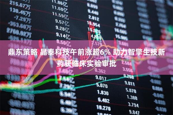 鼎东策略 晶泰科技午前涨超6% 助力智擎生技新药获临床实验审批
