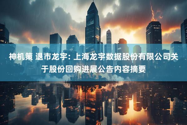 神机策 退市龙宇: 上海龙宇数据股份有限公司关于股份回购进展公告内容摘要