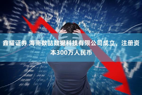 鑫耀证券 海南数喆数据科技有限公司成立，注册资本300万人民币
