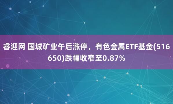 睿迎网 国城矿业午后涨停，有色金属ETF基金(516650)跌幅收窄至0.87%